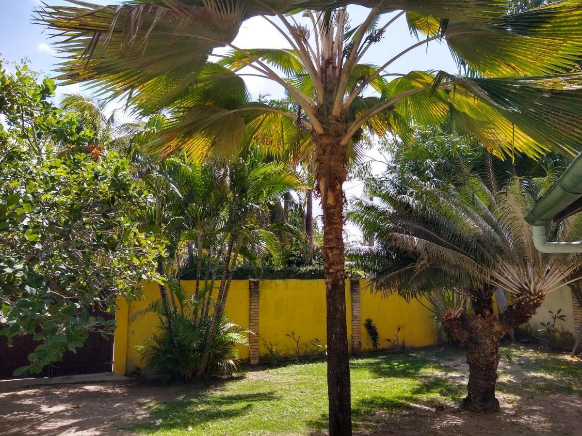 Hotel Pousada Porto Do Colibri Pôrto das Galinhas Dış mekan fotoğraf