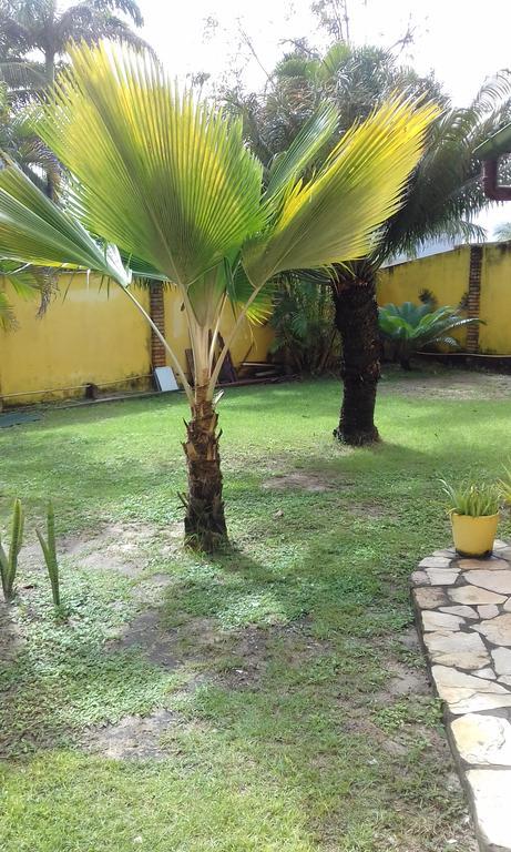 Hotel Pousada Porto Do Colibri Pôrto das Galinhas Dış mekan fotoğraf